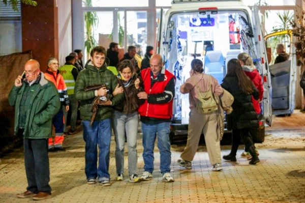 Глава Renfe почти исключил человеческий фактор в катастрофе поездов в Андалусии