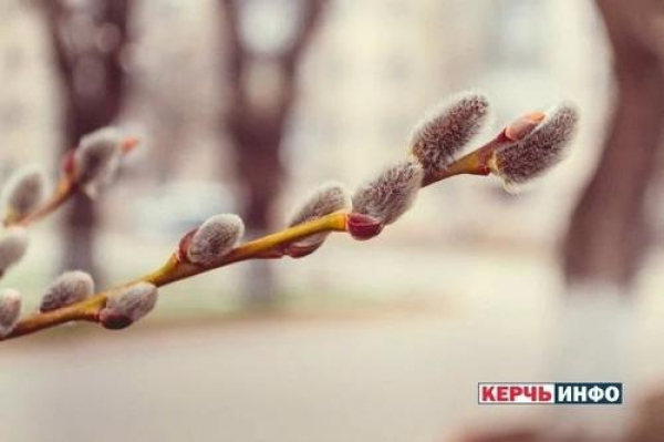 Вербное воскресенье: что можно и что запрещено делать в этот день