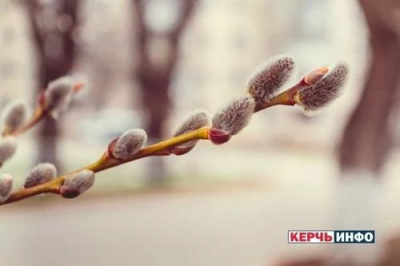 Вербное воскресенье: что можно и что запрещено делать в этот день