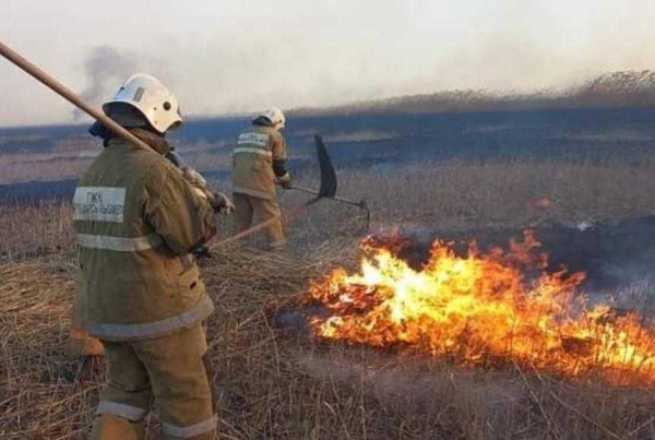 70 человек продолжают тушить пожар на побережье Каспийского моря