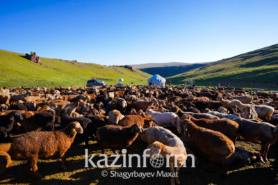 Места для жертвоприношения скота на Курбан-айт определены в Караганде