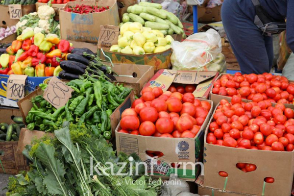 Более 50 тонн продукции привезут фермеры на ярмарку в Петропавловск