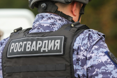Закрытый музфест в Ленобласти закончился массовыми задержаниями