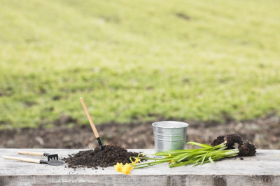 Шарик, шнур или трещины: доцент КФУ рассказал, как определить тип почвы на даче без приборов