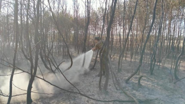 420 га сухой травы горит возле Степногорска