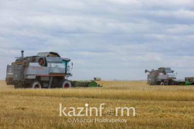868 тысяч гектаров сельхозугодий незаконно переданы в залог - Роман Скляр