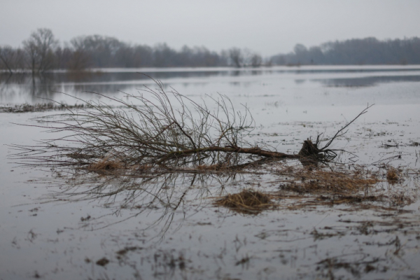 Появились кадры прорыва дамбы в Дагестане