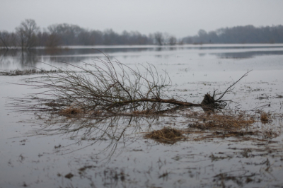 В ЛНР раскрыли, когда смогут поднять горняков из атакованной ВСУ шахты