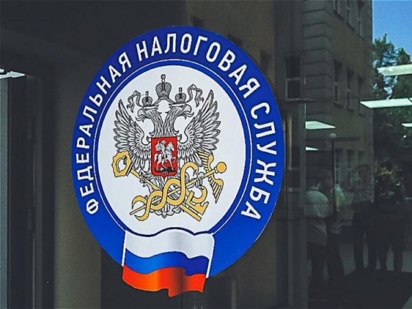 ФНС разъяснила правила блокировки счетов за просроченные декларации