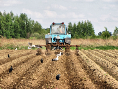 За три месяца Нацбанк РК продал 21,6 тонн золота