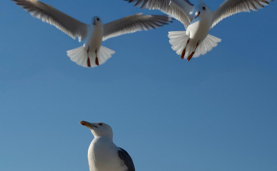 Горная выработка обрушилась на одном из предприятий Оренбургской области