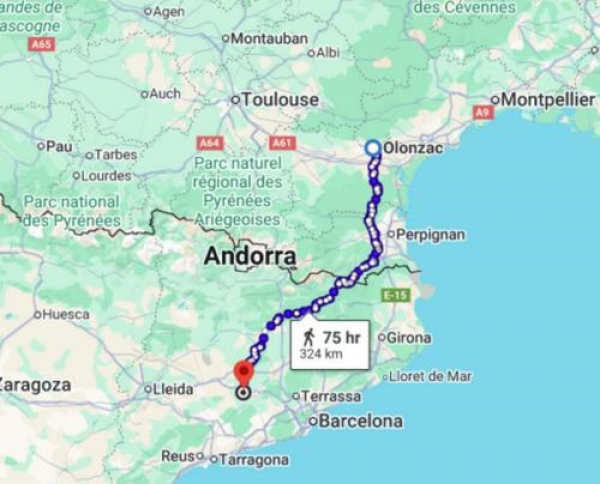 Кот прошел 250 км из Испании во Францию, чтобы вернуться домой