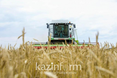 Казахстан расширит экспорт зерновой продукции в Китай