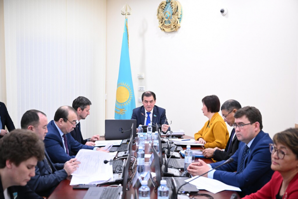 Госуслуги в центре внимания: Казахстан пересматривает законодательство