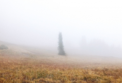 Гидрометцентр: ближайшие сутки в Татарстане ожидается сильный туман