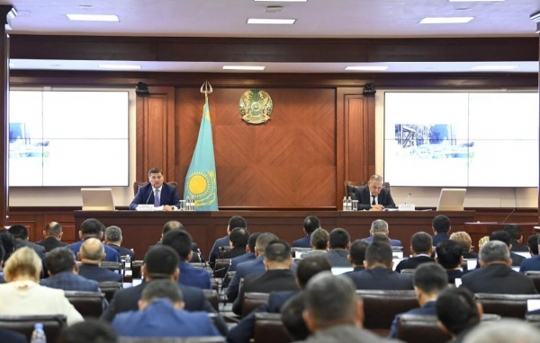Успешный опыт Кызылординской области будет внедрен в другие регионы