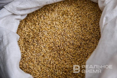 Минсельхоз РФ инвестирует в завод по производству кормовых аминокислот в Татарстане