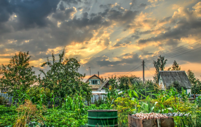 Садовод Туманов заявил, что дачникам не стоит бояться апрельских заморозков