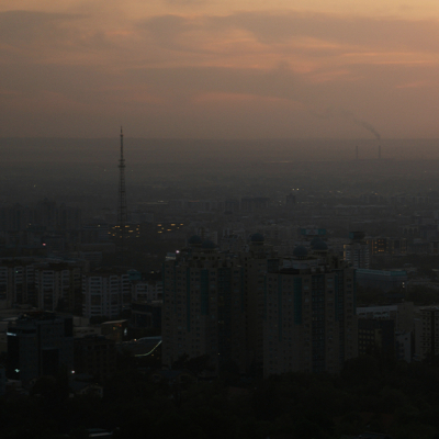 Лебеди вернулись в Ботанический сад Алматы