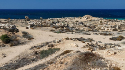 Вода ушла далеко от берега: обмеление Капшагая объяснили в Министерстве водных ресурсов