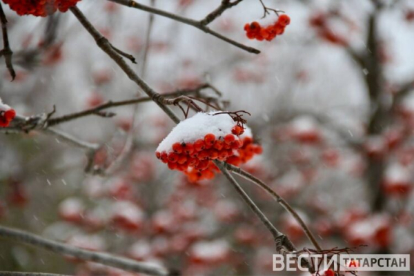 В Татарстане февральская оттепель продлится до 17 февраля