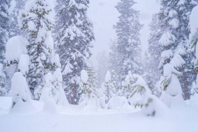 Мощный снегопад и потепление до +1 градуса ожидаются в Татарстане