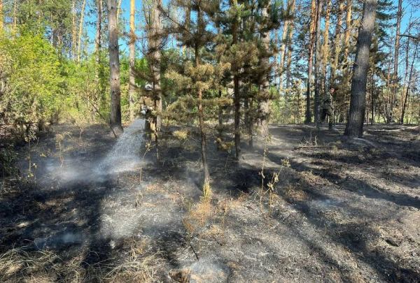 Когда полностью потушат пожар в области Абай