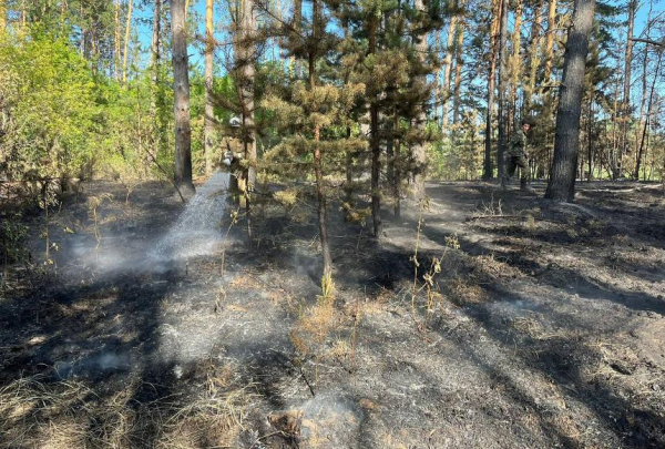 Когда потушат пожар в области Абай, ответили в Минэкологии