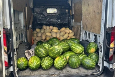 В Казани зооботсаду передали 350 кг арбузов и дынь, изъятых в ходе рейда