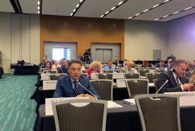 Парламентарии ОБСЕ обсудили актуальные вопросы международной повестки дня