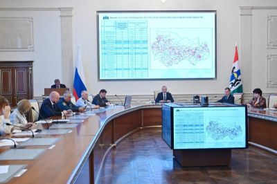 Справились с угрозой: пожароопасный сезон в Новосибирской области проходит спокойно