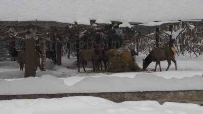 На реализацию мероприятий нацпроекта &laquo;Семья&raquo; в Татарстане направят более 17,6 млрд рублей