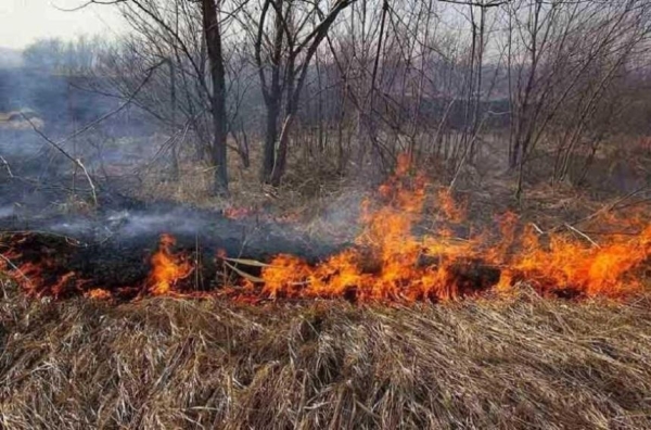 Восемь очагов горения сухой травы ликвидировали за сутки пожарные Алматы