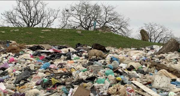 Из обнаруженных в Татарстане почти 400 свалок половина уже убрана