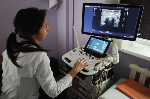 Осмотрят всех