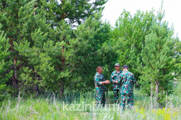 Мажилис принял в работу законопроект по вопросам лесного хозяйства