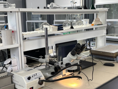 В Нижегородской области заморозили научные гранты для вузов до 2027 года