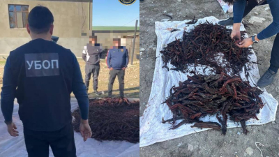 Дочь подозревают в зверском убийстве 73-летней матери в Актюбинской области