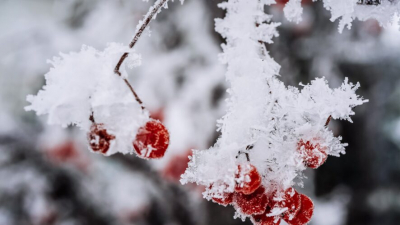В Казани из-за мороза приостанавливали движение 7 троллейбусных маршрутов