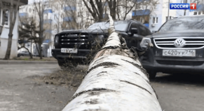 Штормовой ветер в Татарстане повалил деревья и повредил здания