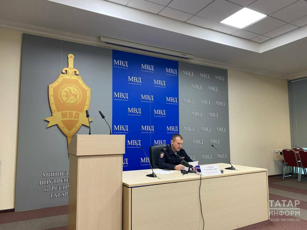 МВД: В Татарстане бороться с мошенниками операторам связи поможет ИИ