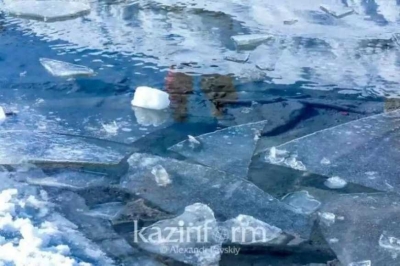 Аномально теплый март установился в СКО