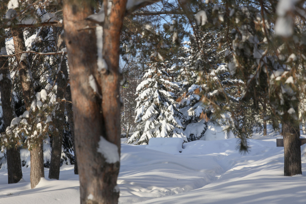 В&nbsp;Татарстане в&nbsp;субботу вновь прогнозируются снег и&nbsp;метель