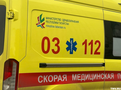 В Казани овчарка напала на девятиклассника: ему зашили раны, нужны прививки от бешенства