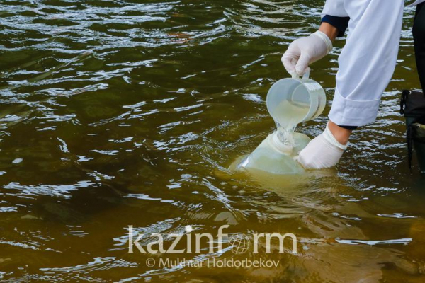 Показатель мутности в реке Малая Алматинка снизился: воду будут подавать по графику