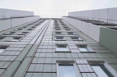 В Балашихе лось едва не проник в многоэтажку, но был накормлен жильцами