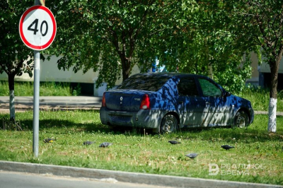 Казань запускает цифровой реестр для контроля парковки на газонах