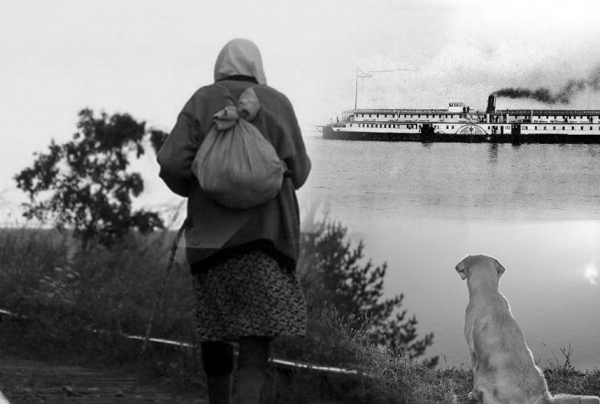18 детей унес голод, 19-го ребенка - война: история матери и пса с большой верой в сердце