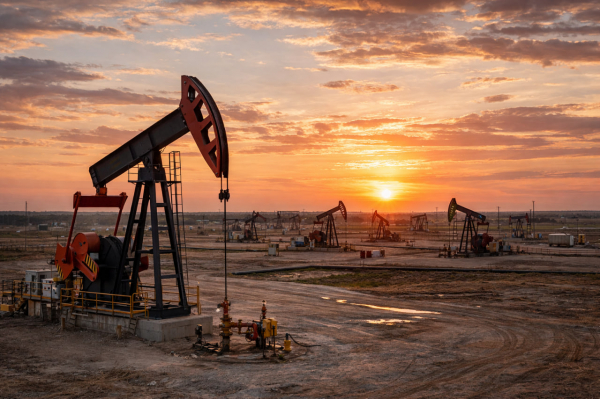 Фролов заявил, что план Путина вернуться на нефтегазовый рынок ЕС нереалистичен