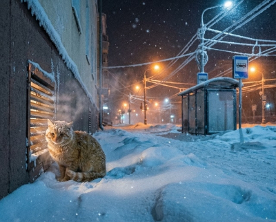 Сильные снегопады и потепление до -6 градусов ждут Татарстан в начале выходных